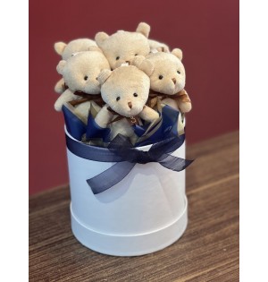 Peluş ayı kutusu